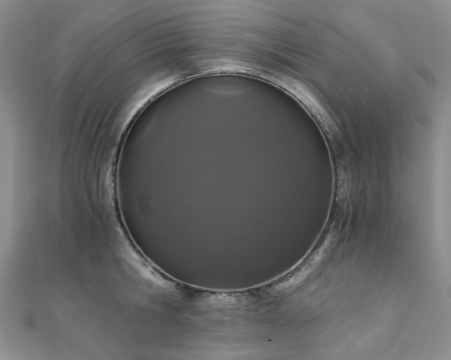 X0000110870806200906181201