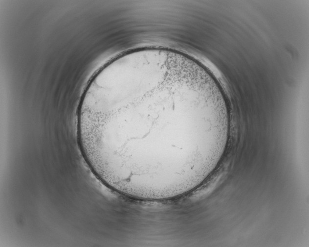 X0000110870807200906181201