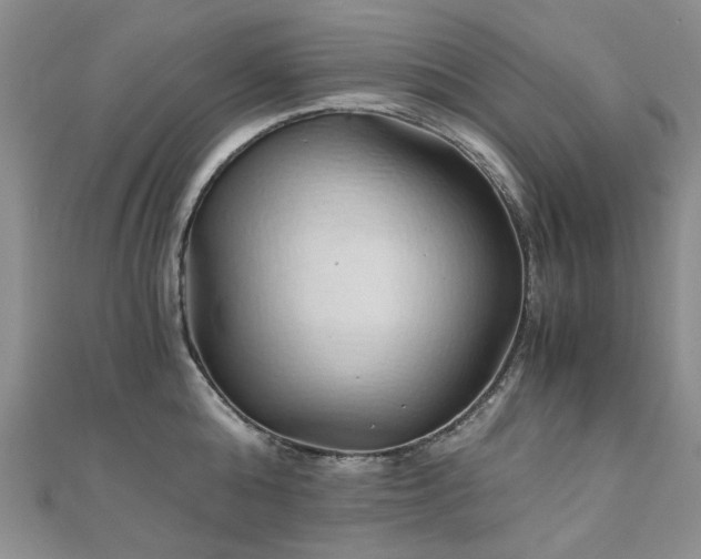 X0000110870808200906181201