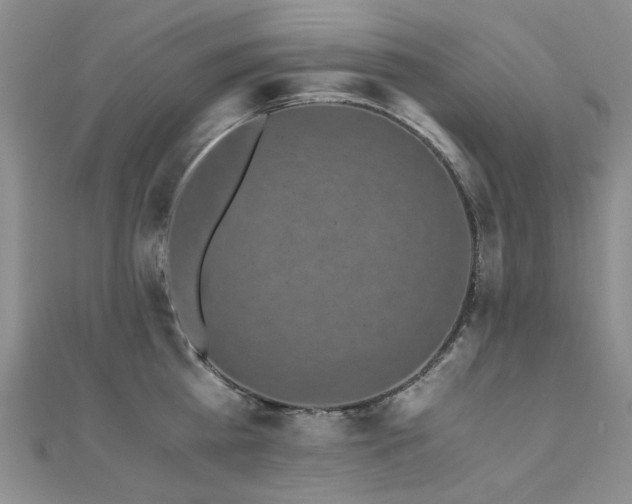 X0000110870809200906181201