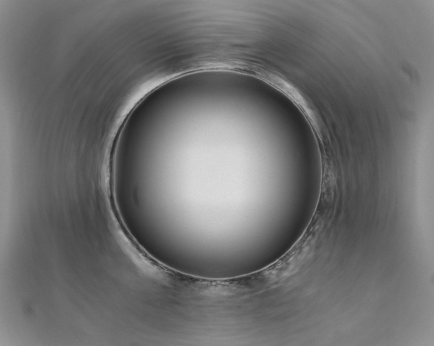 X0000110870811200906181201