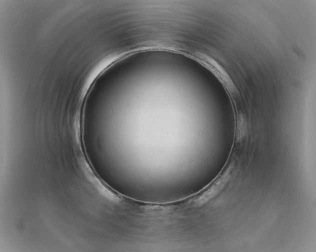 X0000110870812200906181201