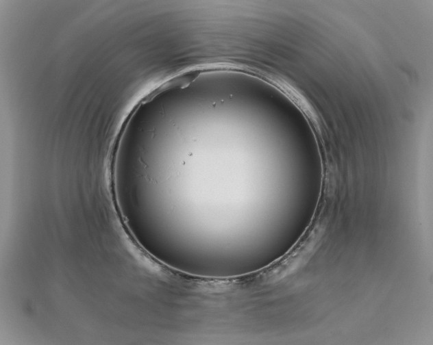 X0000110870813200906181201