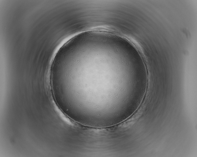 X0000110870816200906181201