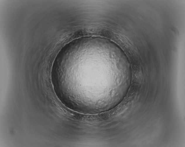 X0000110870817200906181200