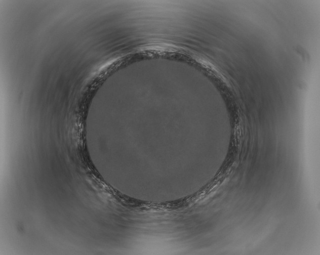 X0000110870822200906181200