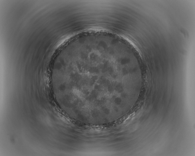 X0000110870823200906181200