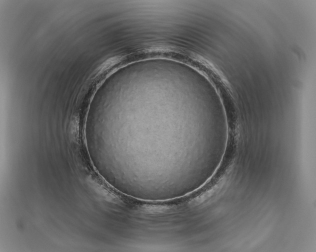 X0000110870825200906181200