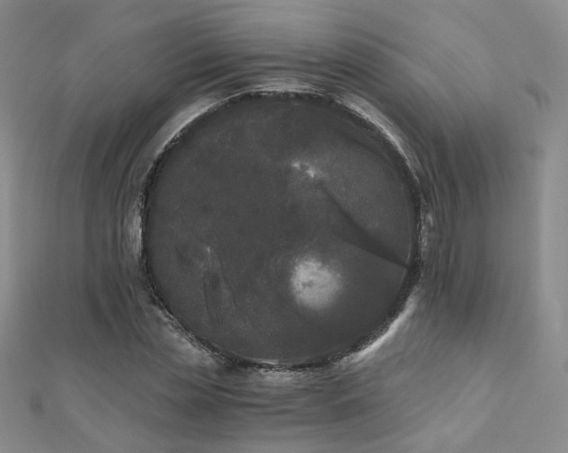 X0000110870829200906181200