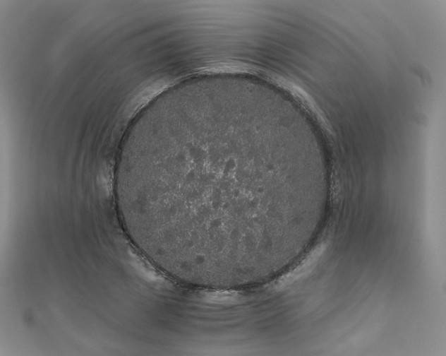 X0000110870833200906181200