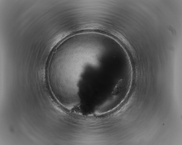 X0000110870834200906181200