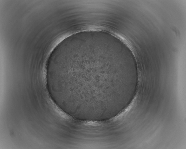 X0000110870835200906181200