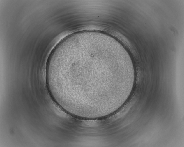 X0000110870836200906181200