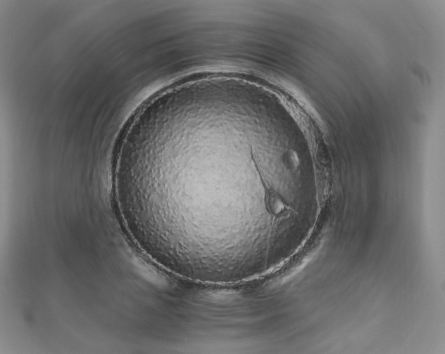 X0000110870837200906181200