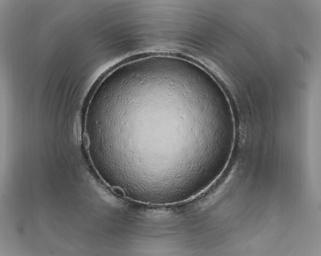 X0000110870838200906181200