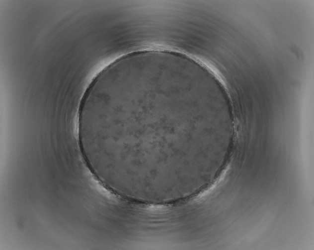 X0000110870839200906181200