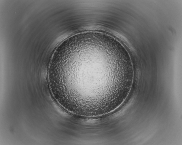 X0000110870841200906181201