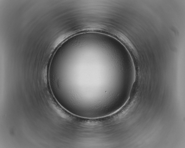 X0000110870842200906181201