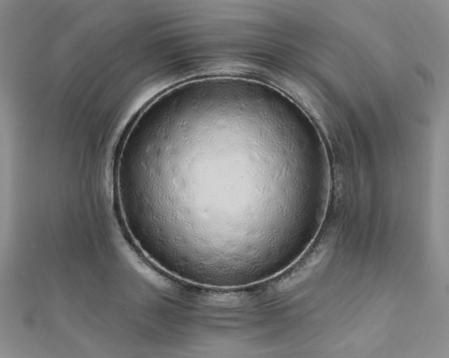 X0000110870843200906181201