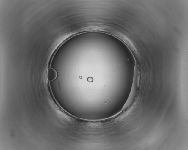 X0000110870844200906181201