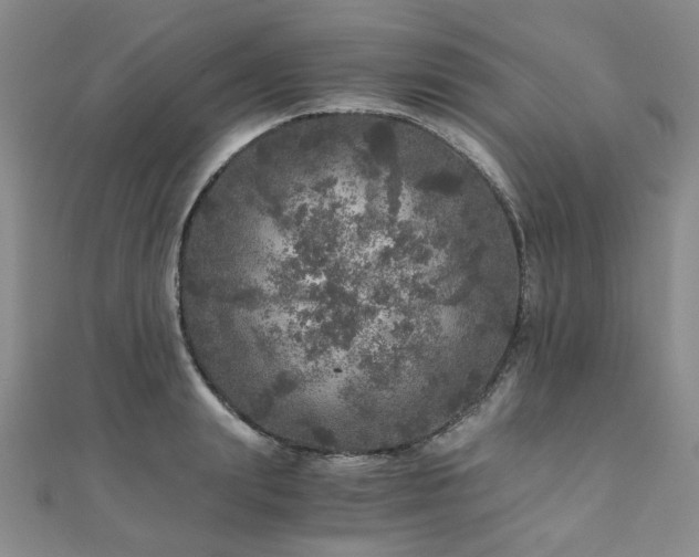 X0000110870847200906181201