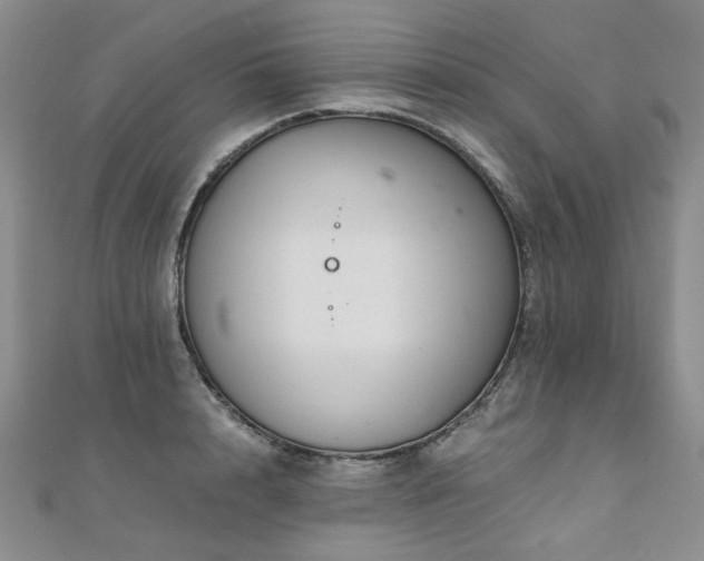 X0000110870848200906181201