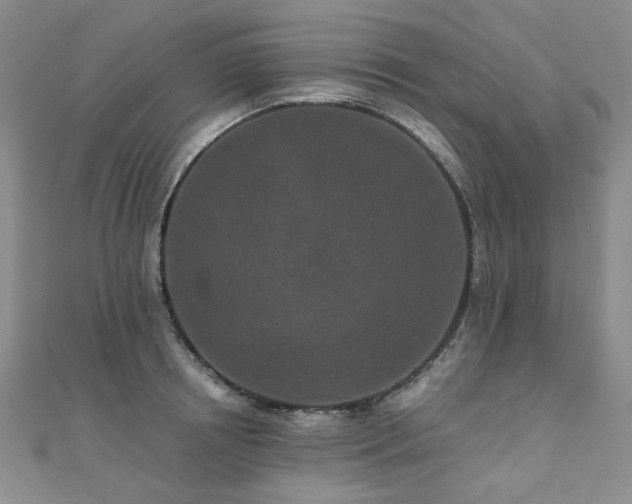 X0000110870850200906181201