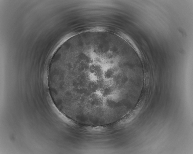 X0000110870851200906181201