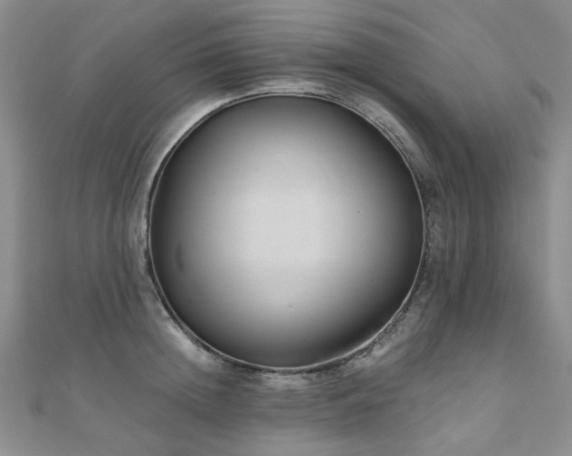 X0000110870852200906181201