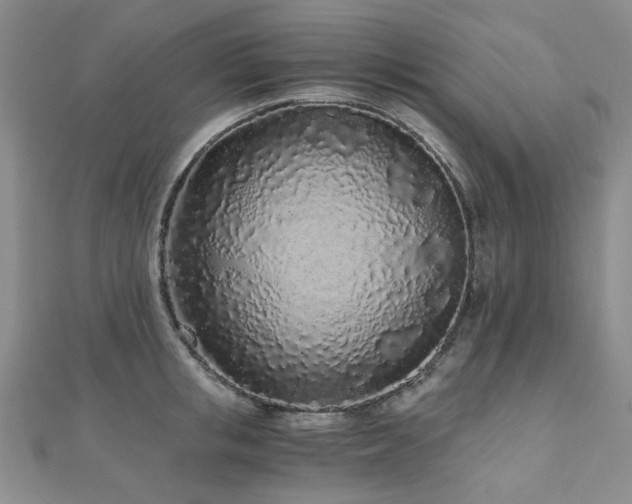 X0000110870853200906181201