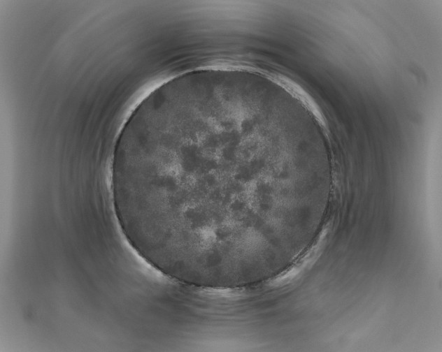 X0000110870855200906181201