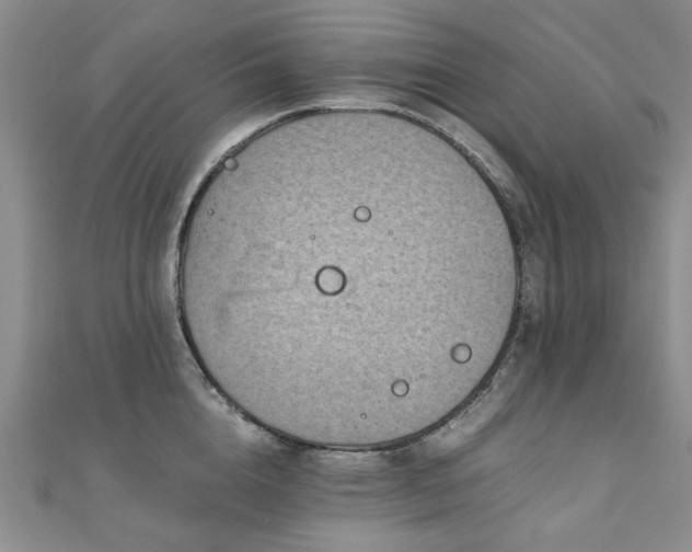 X0000110870856200906181201