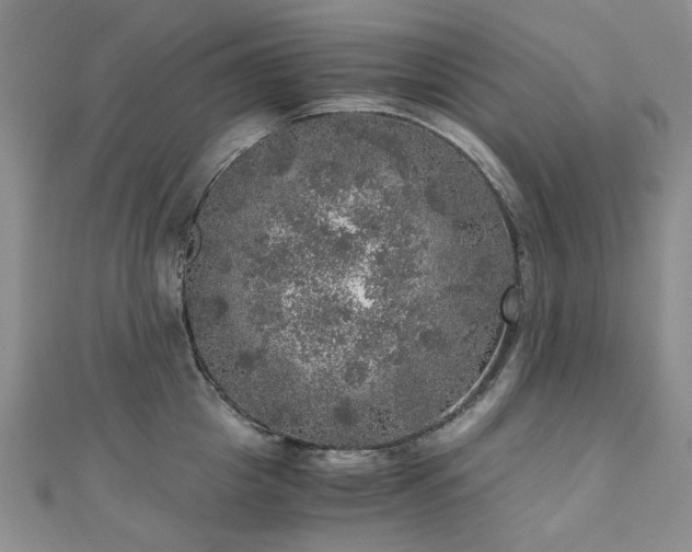 X0000110870857200906181201