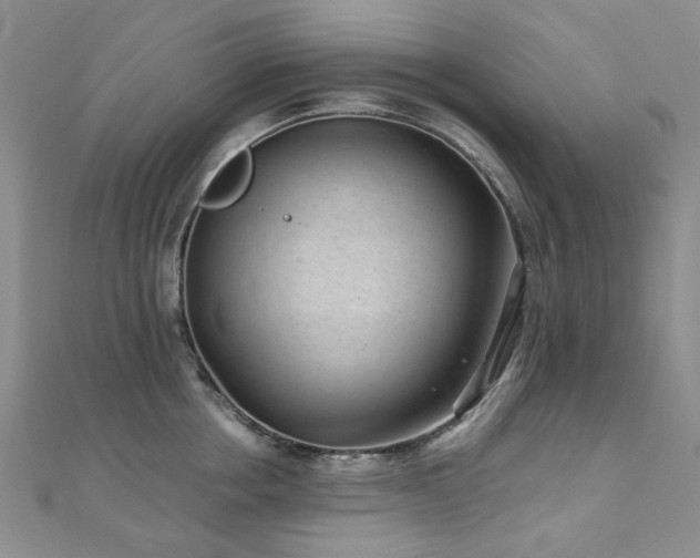 X0000110870858200906181201