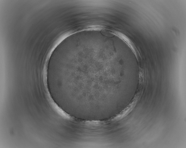 X0000110870859200906181201