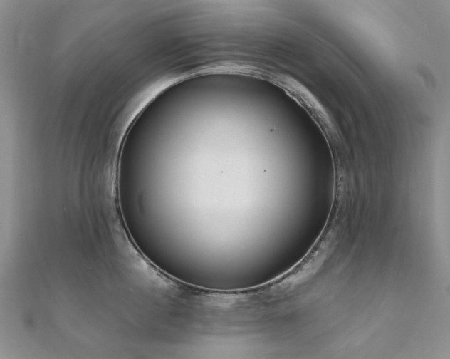 X0000110870860200906181201