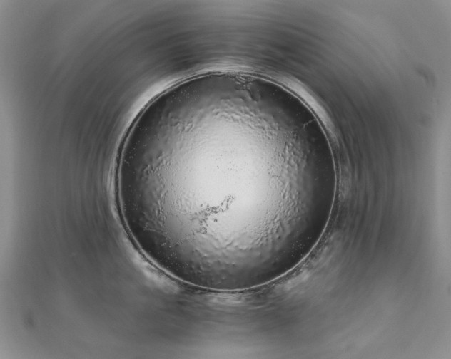 X0000110870861200906181201