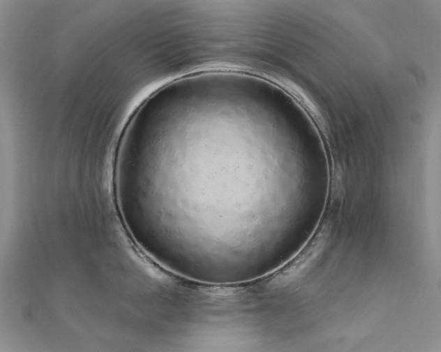 X0000110870862200906181201