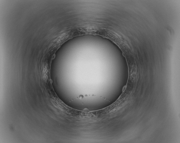 X0000110870866200906181200