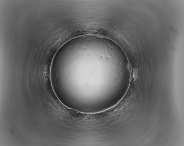 X0000110870867200906181200