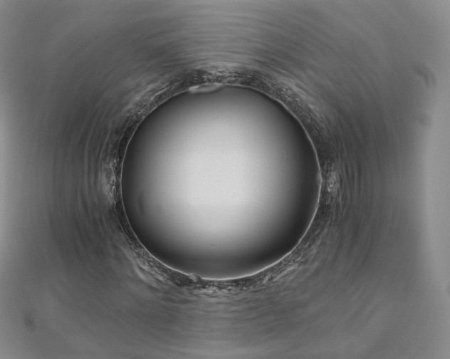 X0000110870868200906181200