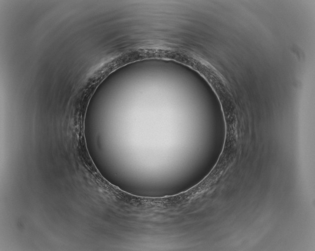 X0000110870870200906181200