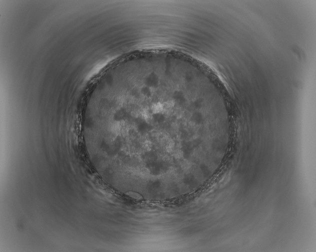 X0000110870871200906181200