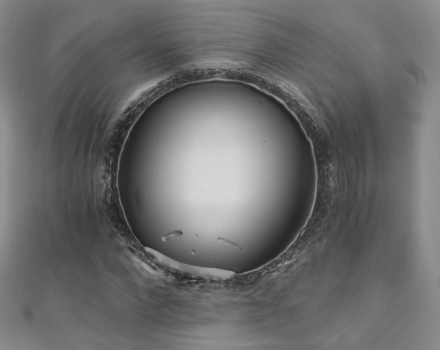 X0000110870872200906181200