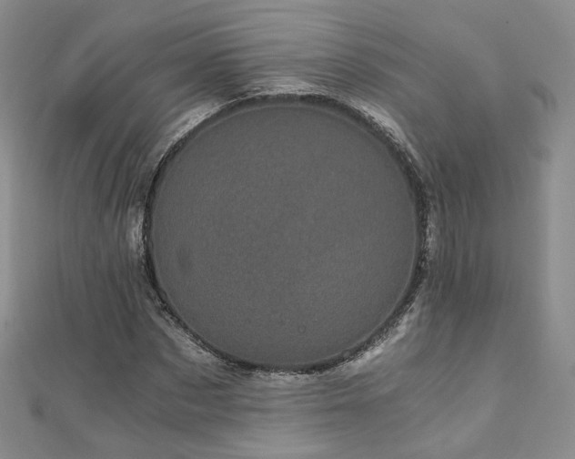 X0000110870873200906181200