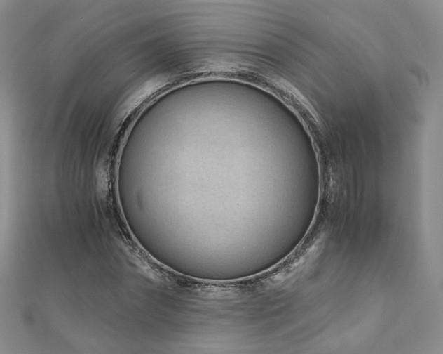 X0000110870874200906181200