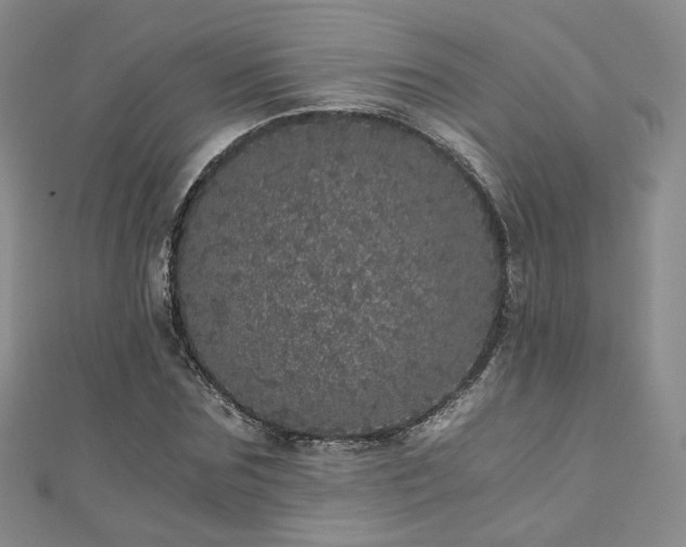 X0000110870875200906181200