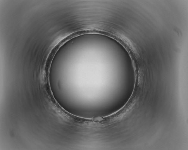 X0000110870876200906181200