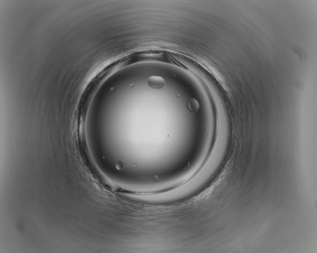 X0000110870877200906181200