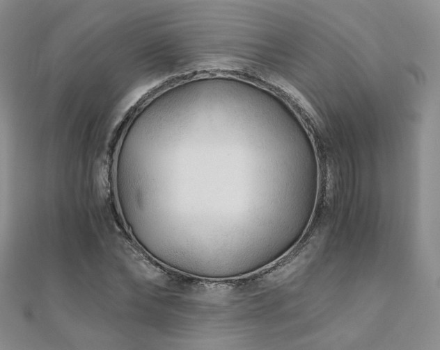 X0000110870878200906181200